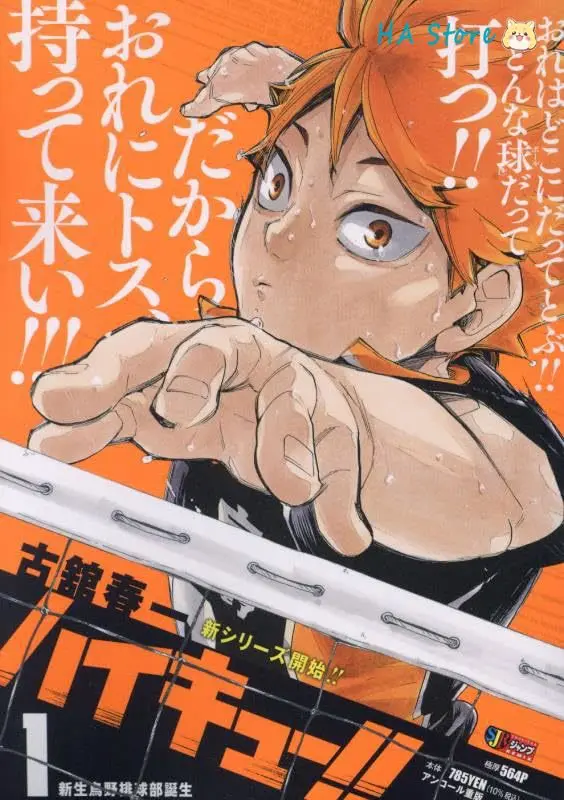 Imagem -02 - Versão Japonesa Haikyuu 10o Aniversário Remix Edition Manga Book Vol 119 por Haruichi Furudate. Livro de Quadrinhos de Menino de Vôlei