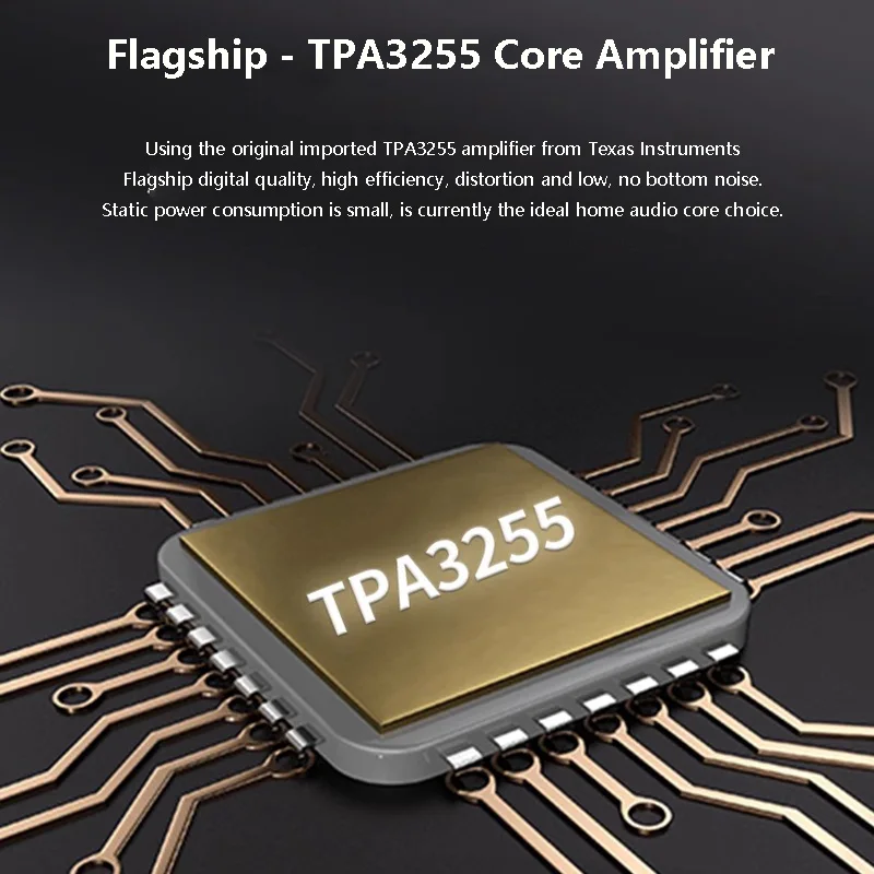 Fully Balanced Audio Power Amplifier Built-in TPA3255 Chip 300W * 2 High-power Stereo HIF Digital Amplifier Lossless Audio Lines