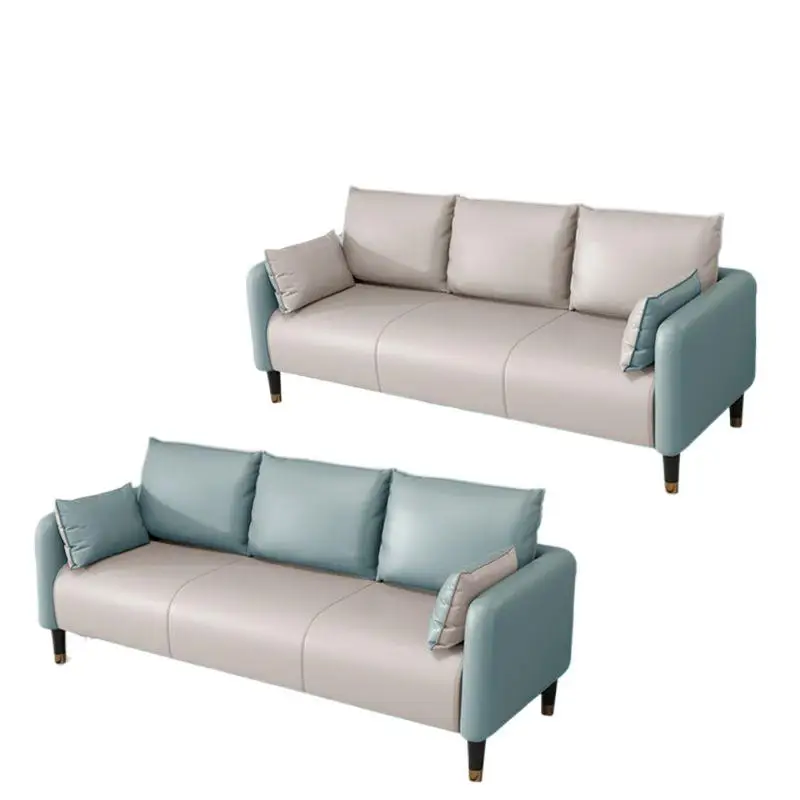 

Cat scratching leather sofa, small apartment living room simple, two or three seats