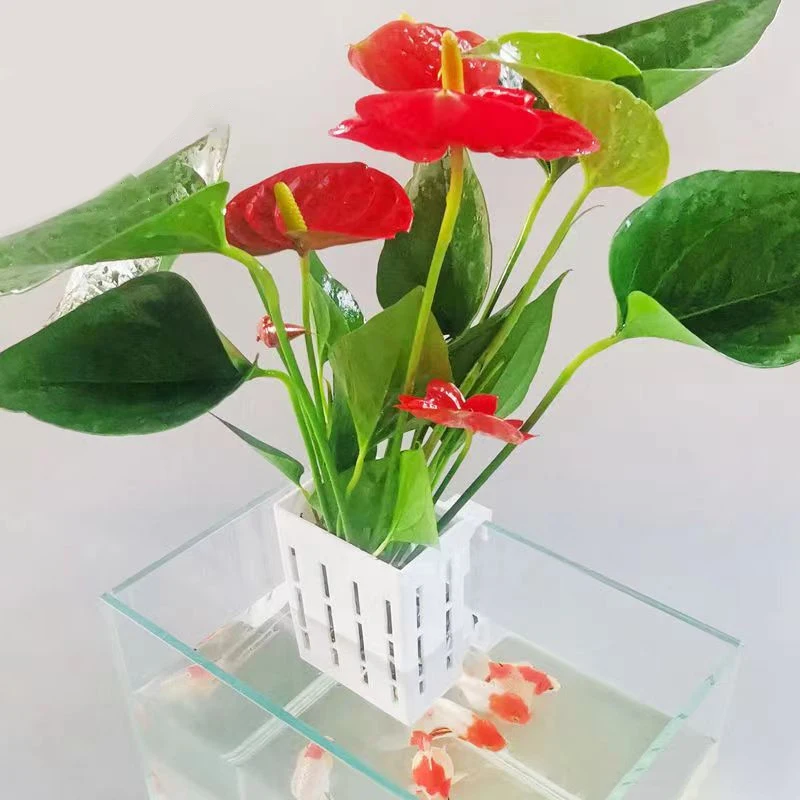 Household Hanging Fish Tank Plant Holder Aquarium Hydroponic Planter Cups Wall Mounted Plant Basket Hydroponic Plant Basket