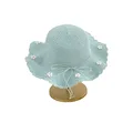 Blue-Hat