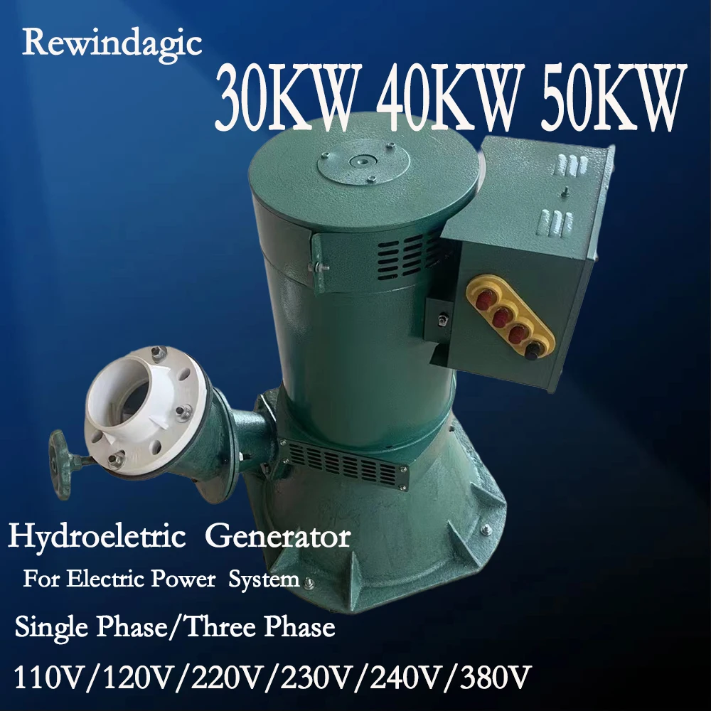 30KW Hydroelectric Generator 220V 380V Water Turbine Generator Brushless DC AC Hydraulic Pump Generator High Power Generator