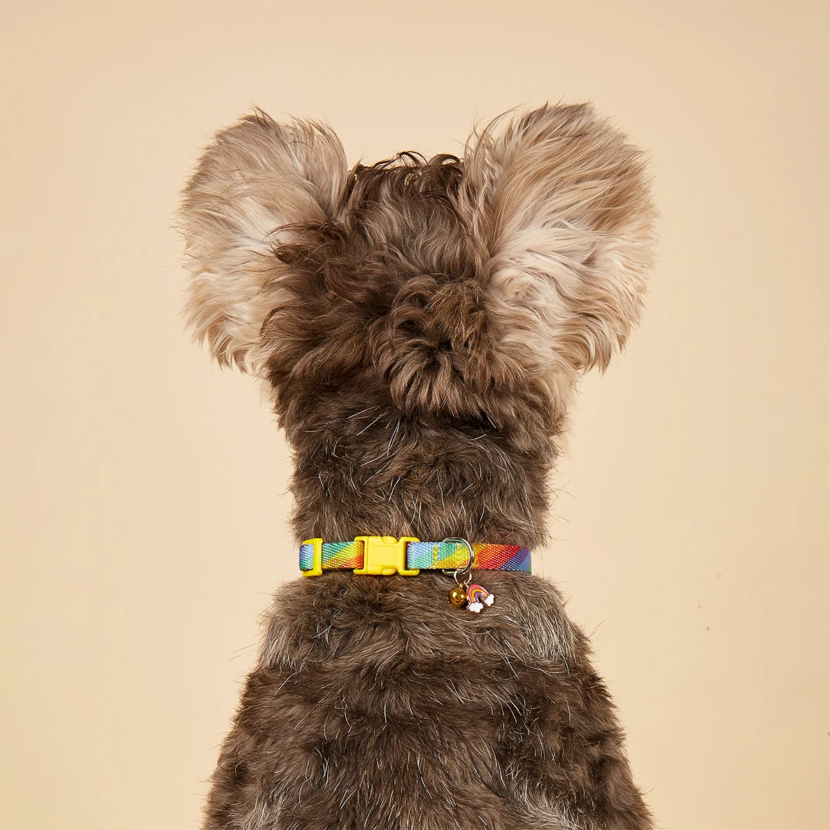 Charm- und Glockenhalsband mit buntem Graffiti-Druck, verstellbares Haustierhalsband, neues Design, modischer Halsring für Katzen und Hunde, Anti-Flucht-Schlaufe – Detail 10