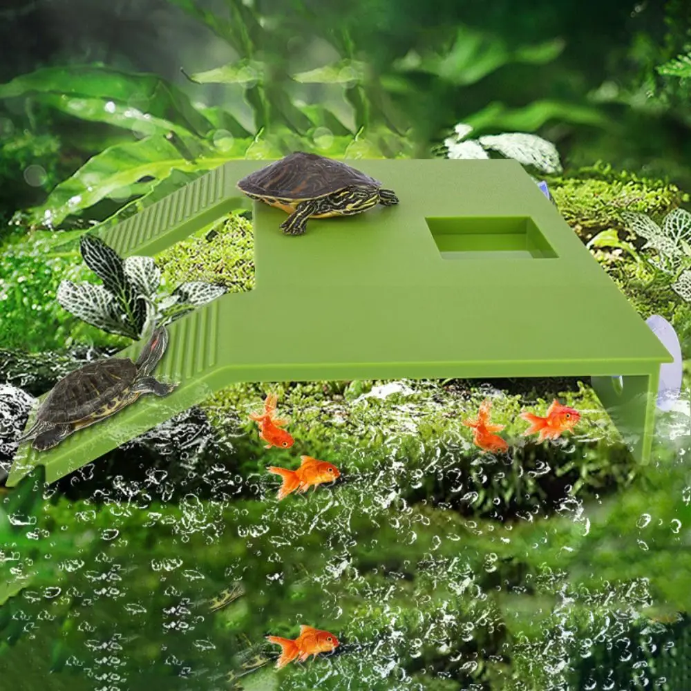 

Plastic Turtle Basking Platform Double Ladder with Suction Cup Turtle Basking Terrace Green Turtle Climbing Platform Home