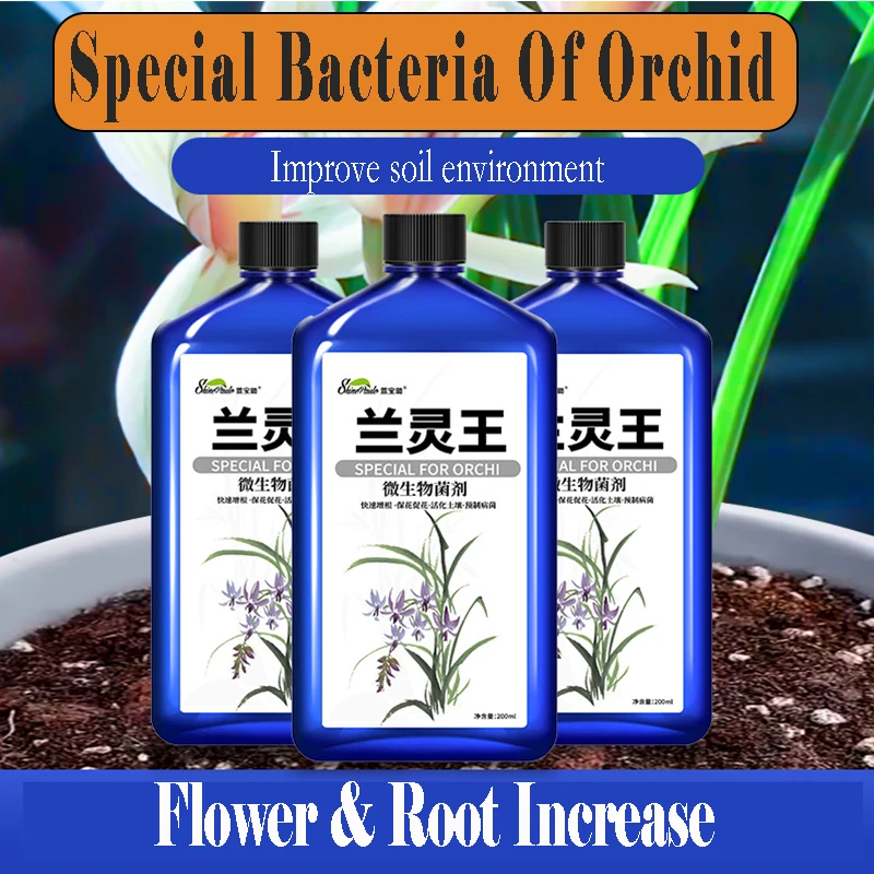 Fiori in vaso idroponico con fertilizzante liquido nutriente speciale per orchidea per promuovere fioritura e radicolare la soluzione nutritiva