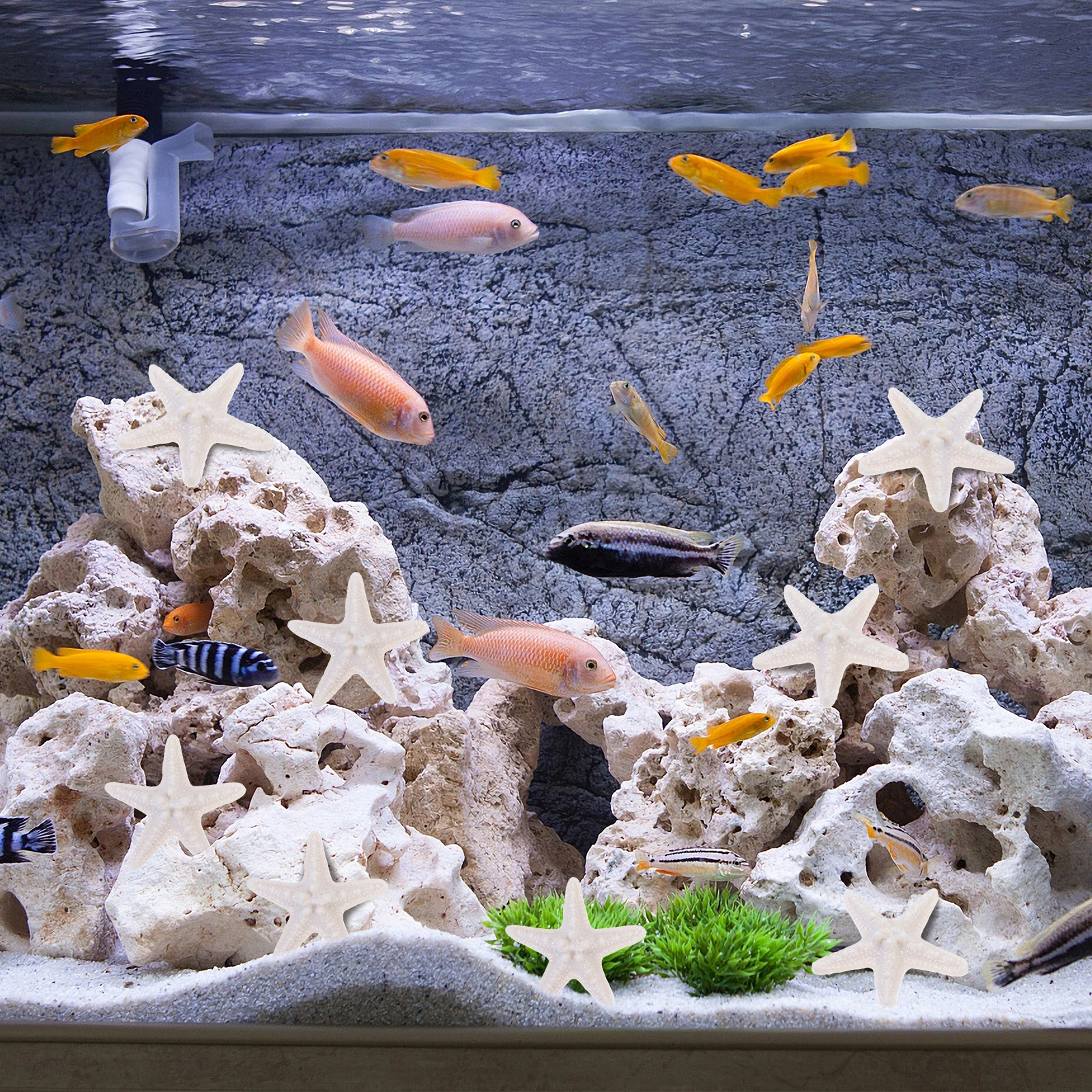 

Beach Decorations for Home Coastal Simulation Ornament Ocean Themed Ornaments