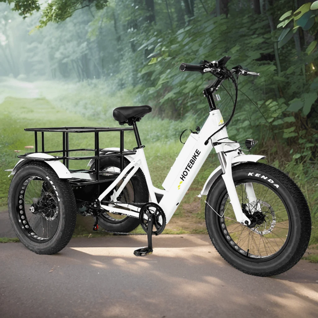 Three-wheeled cargo electric bicycle 48V 500 electric bicycle 750W motor 20 inch fat tire electric tricycle