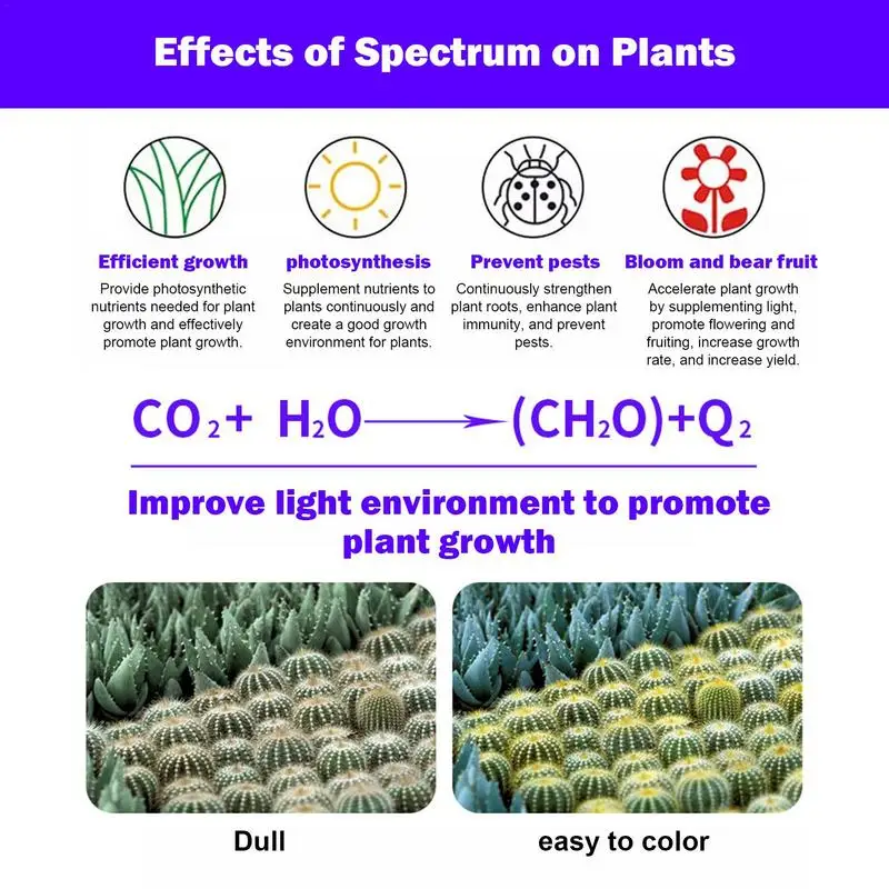 Full Spectrum LED Grow Light, Auto On e Off Plant Light, Lâmpada crescente, Plantas suculentas interiores