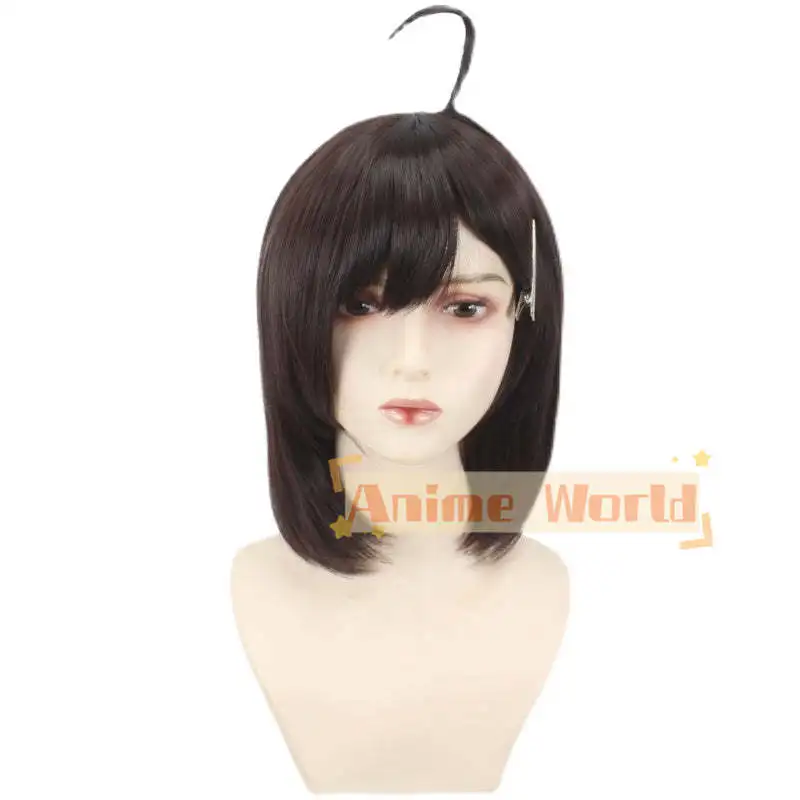 Anime Library Of Ruina Hod Cosplay Wig