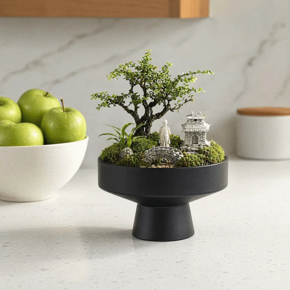 Elevated Design Wide Shallow Base Plant Container INS Plastic Desk Decoration Pot Creative Round Succulent Pot Household Use