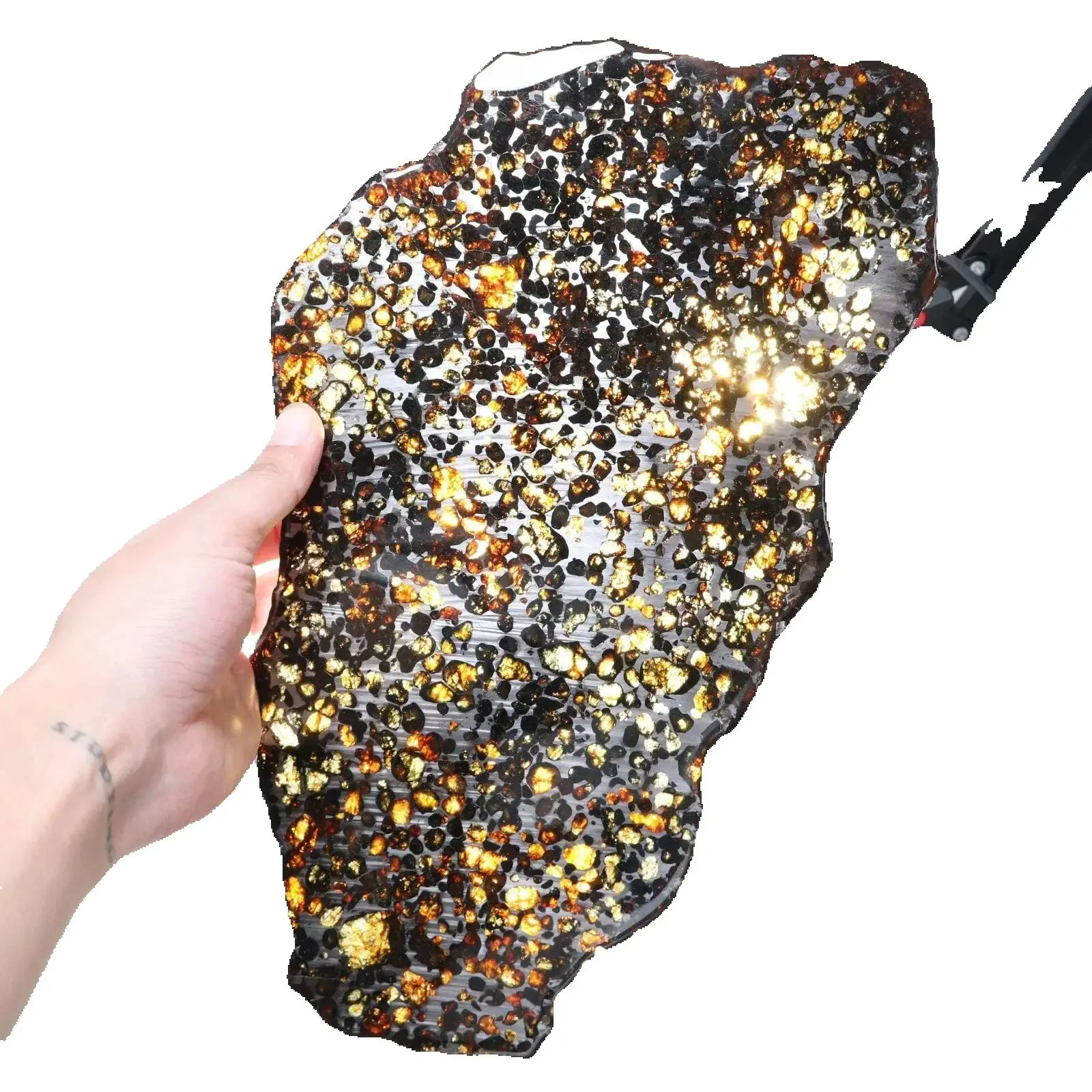 Beautiful SERICHO Pallasite Meteorite Slice - From Kenya