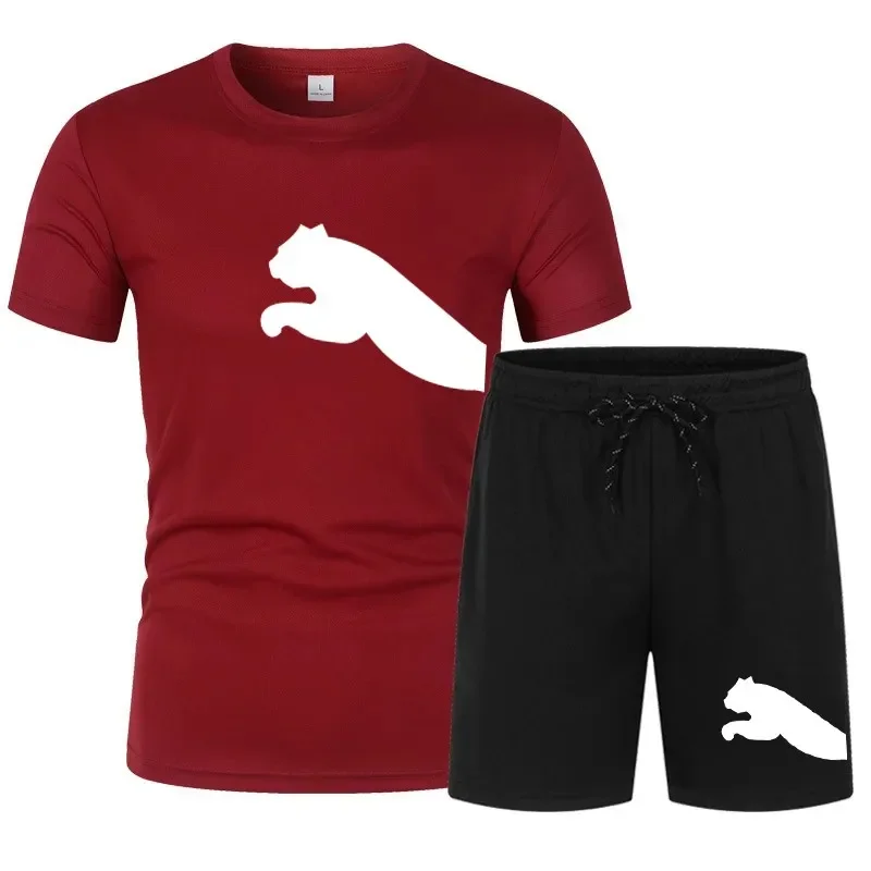 Neue Herren-Trainingsanzüge, Sommer-Sets, Herren-Fitnessanzug, Sportanzug, kurzärmeliges T-Shirt, Shorts, schnell trocknend, 2-teiliges Set, Kleidung