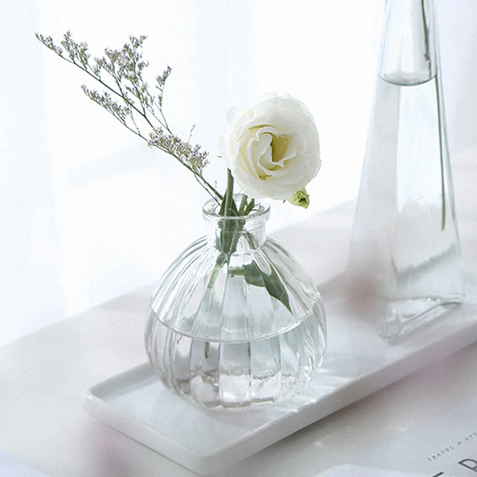 

4Pcs Elegant Transparent Glass Vase Home Decorative Flower Vase Creative Design Non-Slip Flower Container Desktop Adornment