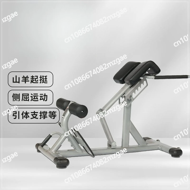 

Многофункциональное регулируемое кресло Коммерческое кресло для фитнеса Бытовая поддержка талии козла