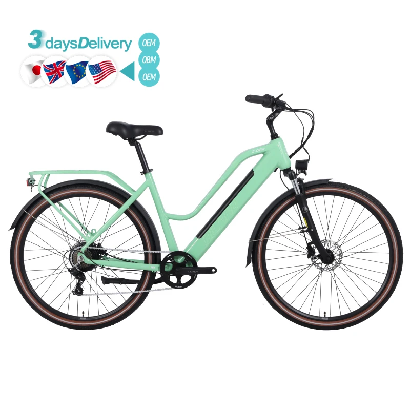 

For 2025 New Model Electric City Bike 14-Speed Aluminum Frame Central OBM Customizable Hydraulic Disc Brake