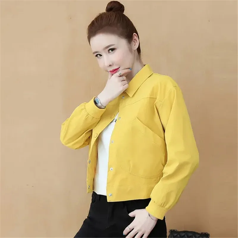 Casual Short Women\'s Short Coat 2024 Spring Autumn New Female Wear Jacket Joker Thin Foreign Baseball Uniform Overcoat