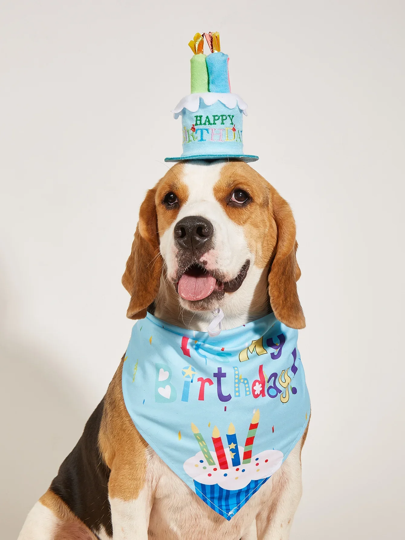 Dog Happy Birthday Decoration Dog Costume Hats Bowknot Bandana Neckerchief Bibs Banners Party Cat Dog Pets Accessories Perros