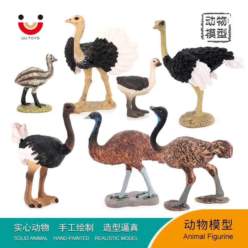 Simulation animal model static solid bird animal toy ostrich emu children's cognitive ornament figure