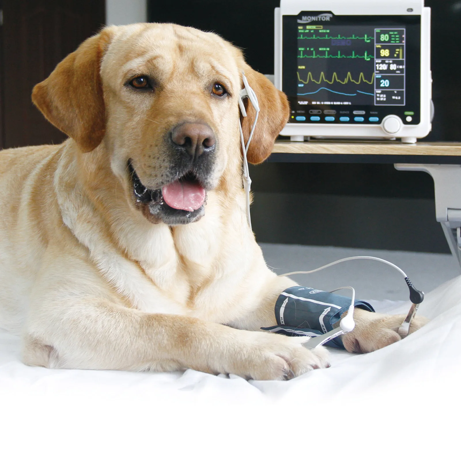 CONTEC Portable VET Veterinary Patient Monitor  8\