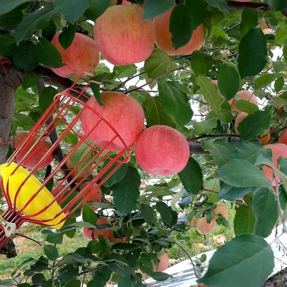 

with Basket Fruit Picker Pole Labor-saving Telescopic Fruit Collector Detachable Metal Fruit Catcher Garden Picking Device