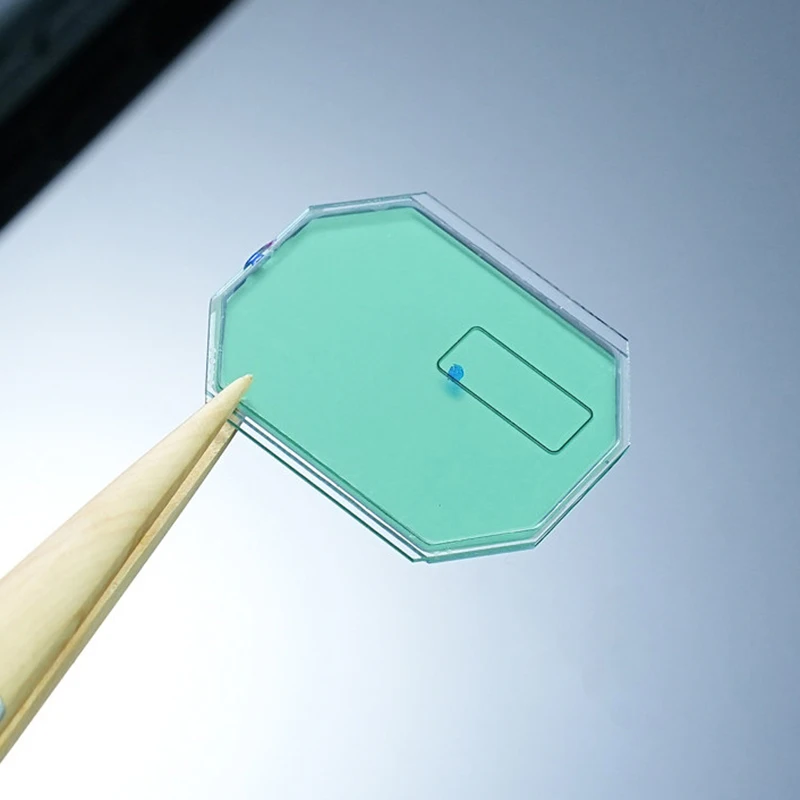 

Экран часов «сделай сам» для Casio 3461 GW-B5600, модифицированный механизм часов STN, механизм экрана, аксессуары для линз дисплея