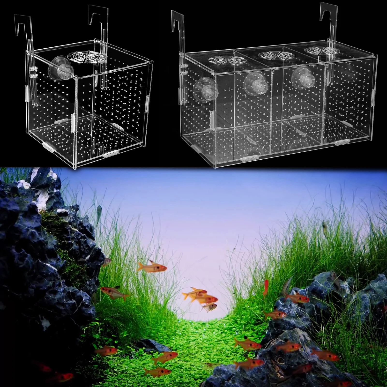 Fish Breeding Box Transparent Fish Isolation Box Acrylic Fish Isolation Hatchery 1 Grid/3 Grids Fish Incubator Box with Suction