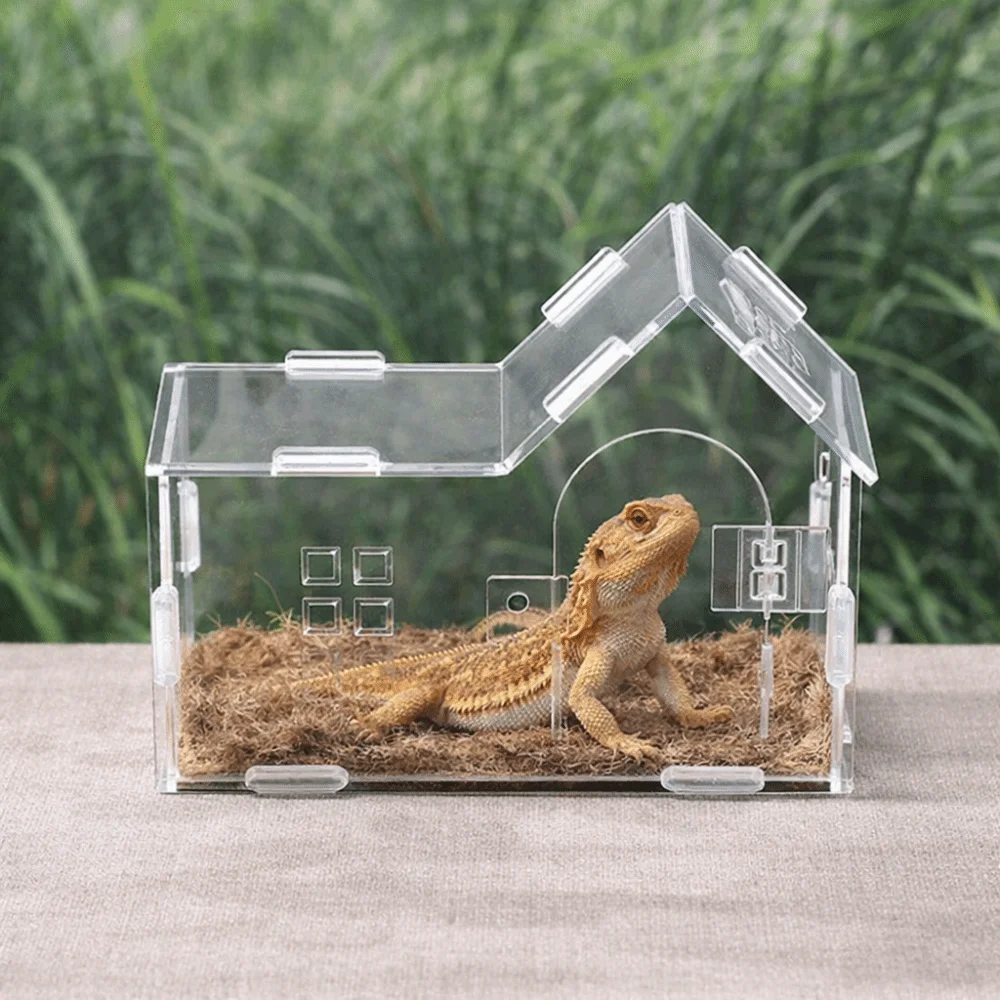 

Acrylic Reptile Feeding Box Transparent Anti-escape Pet Breeding Container Magnetic Detachable Lizard Enclosure