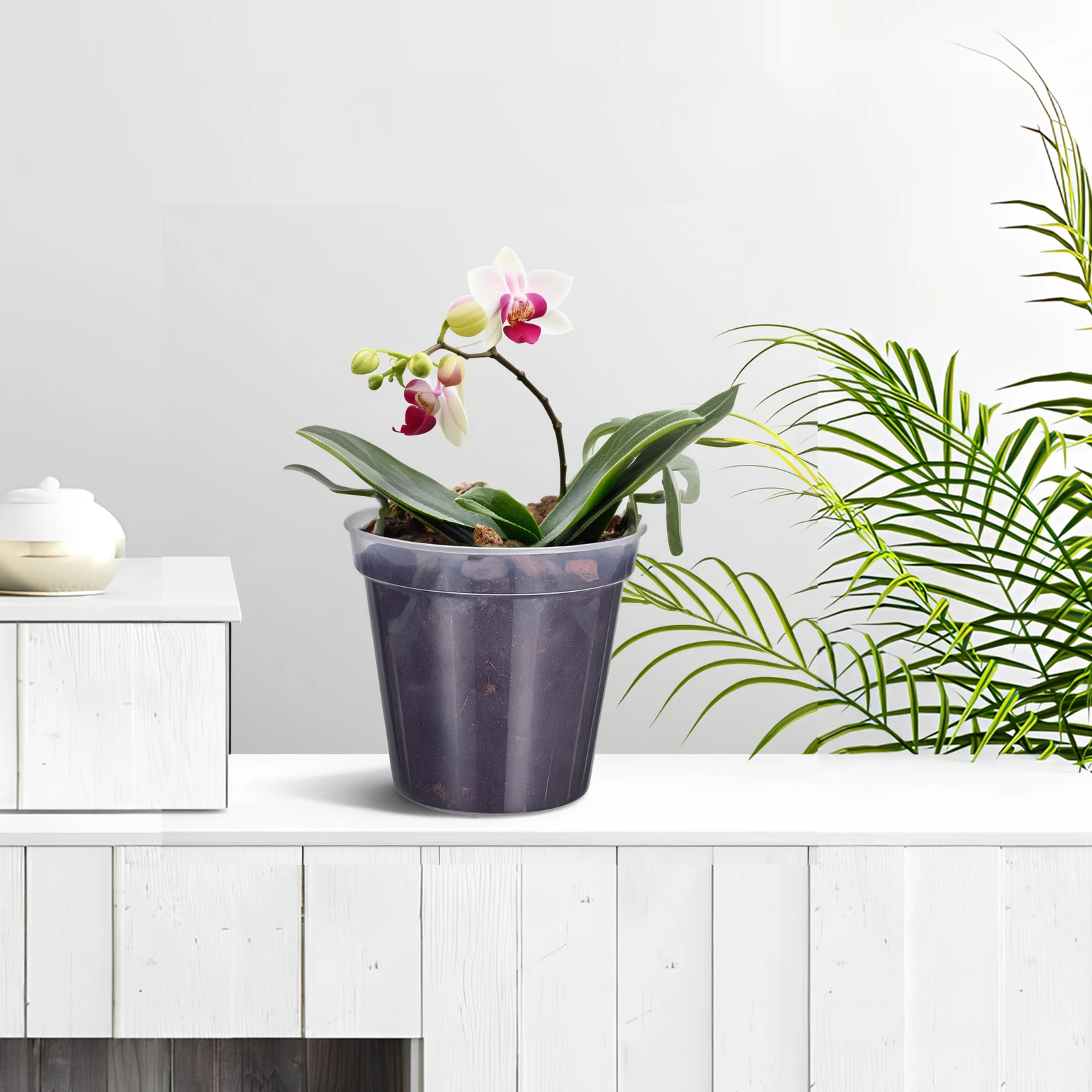 

10 pcs Clear Plastic Nursery Pots Orchid Flower Pot Plants Seedling Starter PVC Drainage Reusable Plant Containers