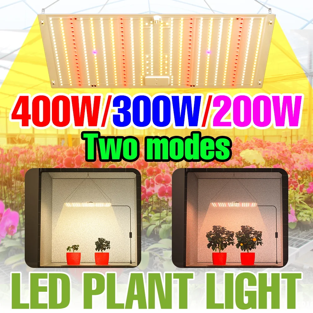 

400W LED Full Spectrum Plant Fill Lamp 220V Indoor Quantum Board Seeds Planting Lamps Greenhouse Hydroponic Cultivation Lighting