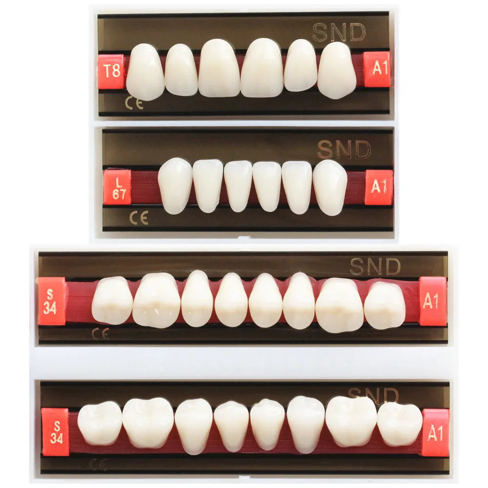 A1 Shade Two-Layer Dental Acrylic Synthetic Resin Teeth Whitening Denture Full Mouth Fake Oral Care False Anterior Posterior