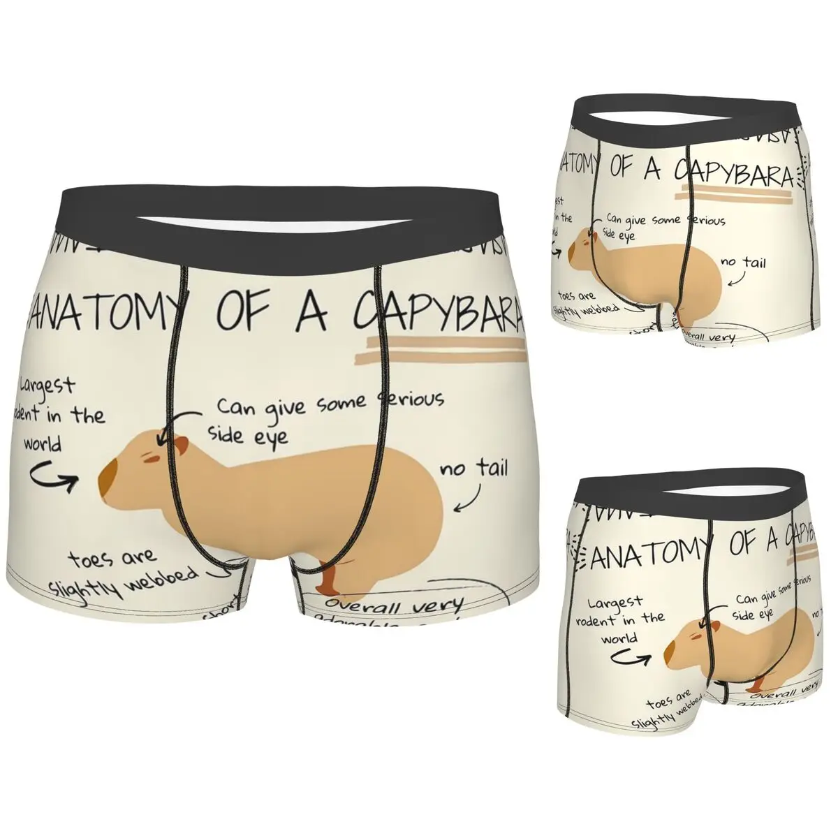

Boxer Underpants Shorts Anatomy Of A Capybara Panties Male Breathable Underwear for Homme Man Boyfriend Gift