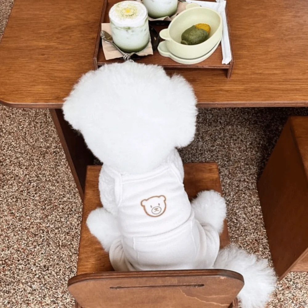 مريحة لينة الحيوانات الأليفة حزام السراويل تنفس الكرتون نمط ملابس الحيوانات الأليفة موضة الكلب بذلة لجرو القط #4