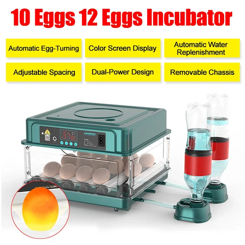 Digital Brooder 10/12 Eggs Incubator Fully Automatic for Chicken Goose Quail Incubation Turner Equipment Hatchery Poultry Tool