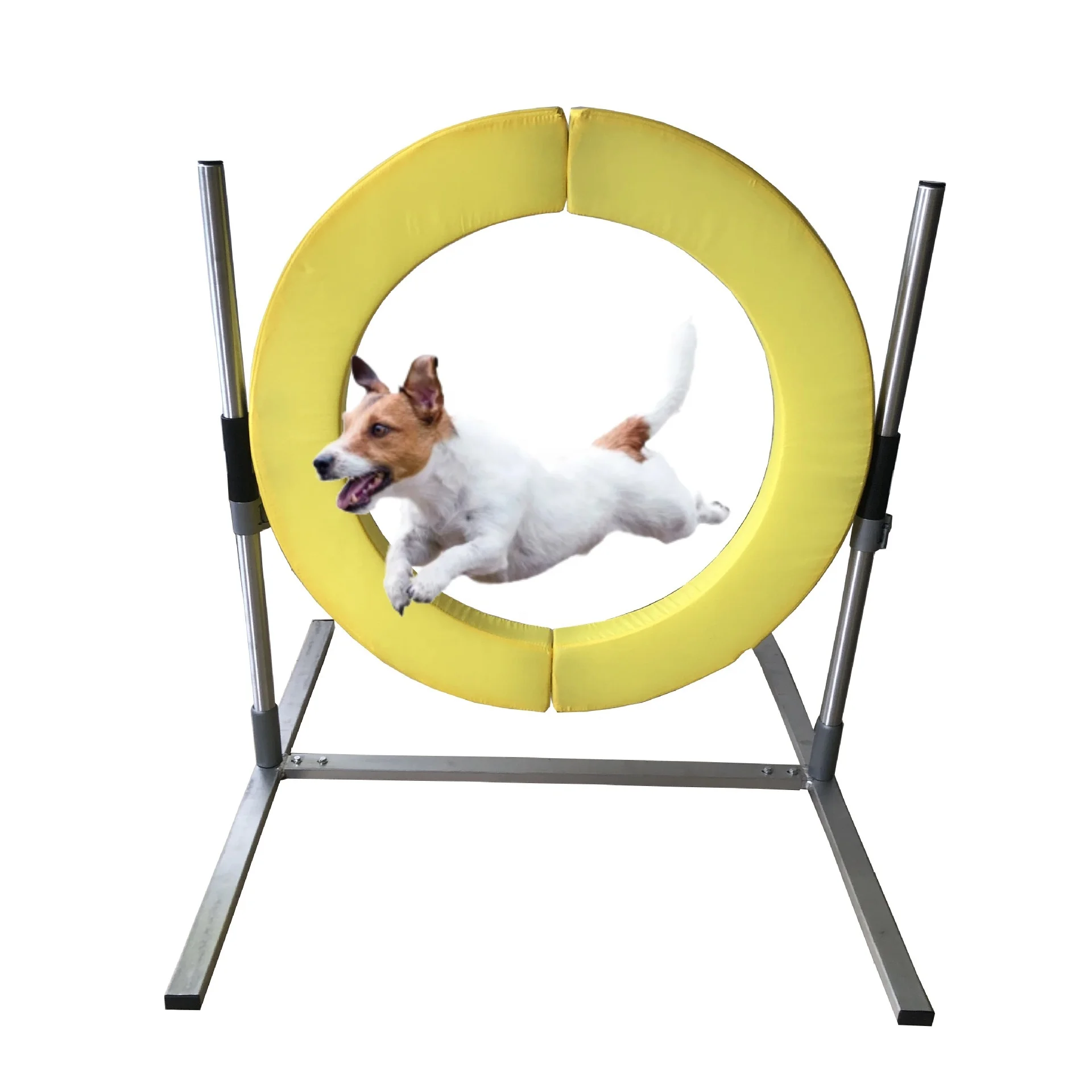 USMILEPET Best Seller Pet Agility Collar Dog Agility Hoop Jump Dog Training Equipment Pet Tire For Dogs