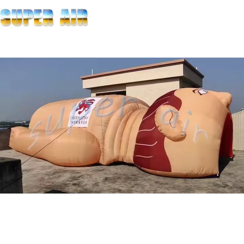 Popolare stile outdoor della tenda tunnel gonfiabile con personaggi dei cartoni animati con logo pubblicitario in vendita