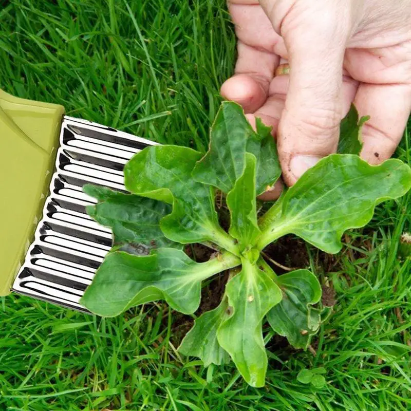 Désherbeur Crevice et Trottoir en Acier Inoxydable, Brosse Confortable à Tenir, Fournitures pour Livres de Mauvaises Herbes, Cours Avant et Cour