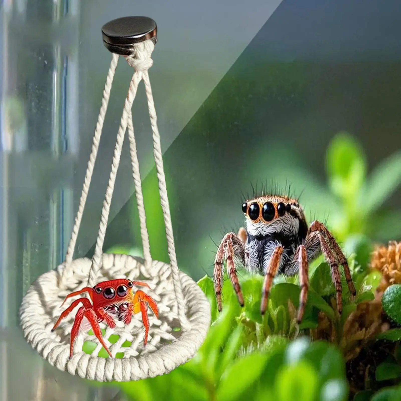 Hangable Jumping Spider Bridge Hermit Crab Climbing Enclosure Bridge Swings Spider Enclosure Accessories for Terrarium Breeding