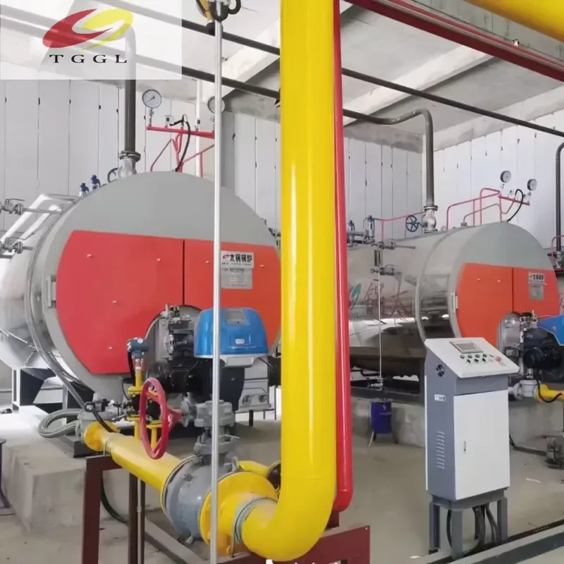 i WNS Series 1 Ton/Hour Industrial Boiler Energy-Saving Horizontal Fire Tube Steam for Food Processing Integrated Economizer