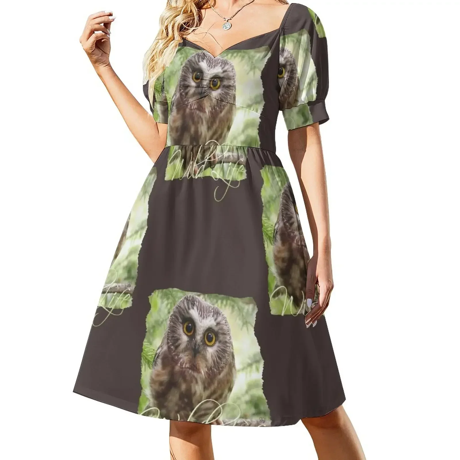 Wild Life Series - The Cute Brown Owl (The Spiritual Messenger of Wisdom) Short-Sleeved Dress Women's skirt sexy dress