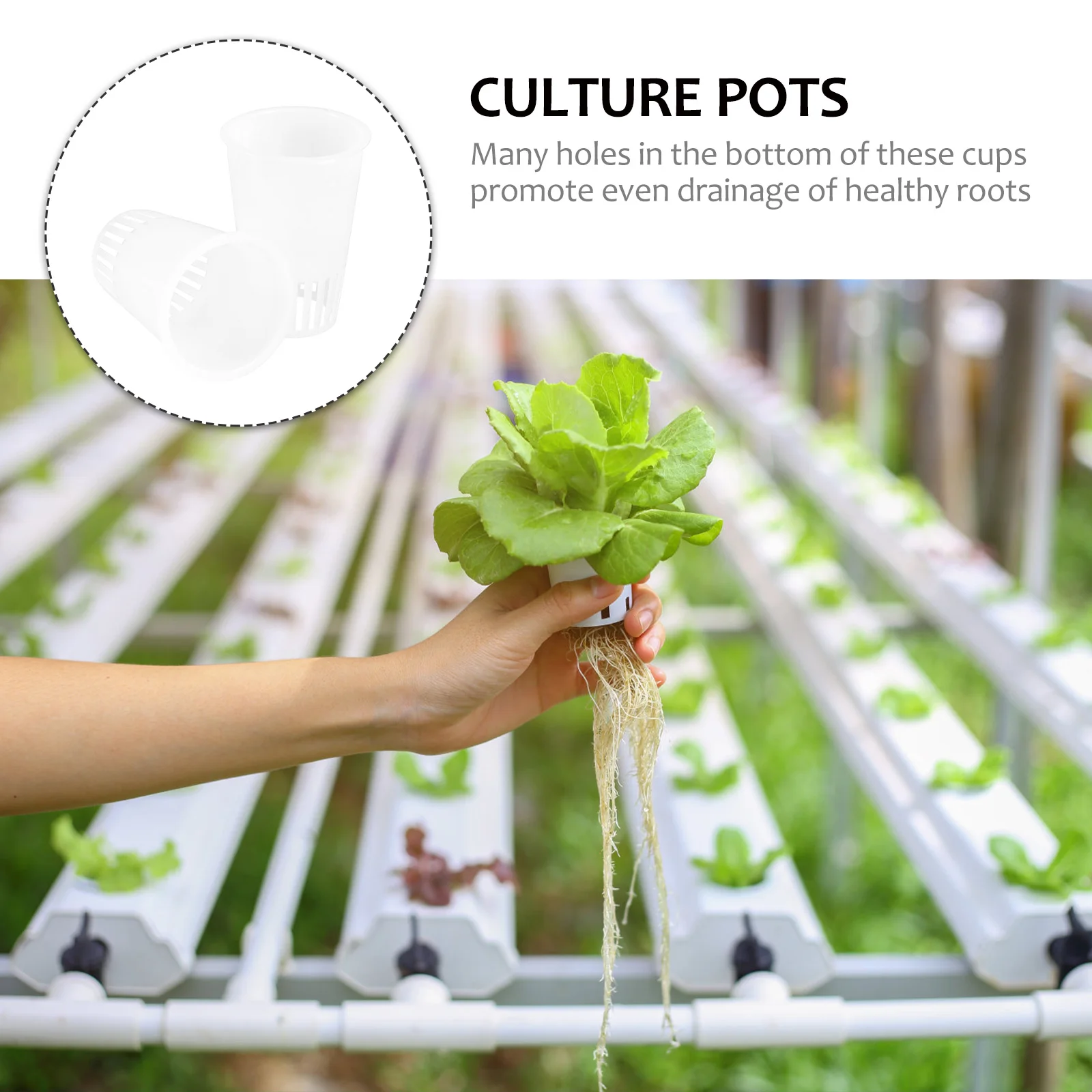 

30pcs Planting Basket Hydroponic Soilless Cultivation Drainage Holes Durable Vegetables Pots Culture Basket Gardening Supply