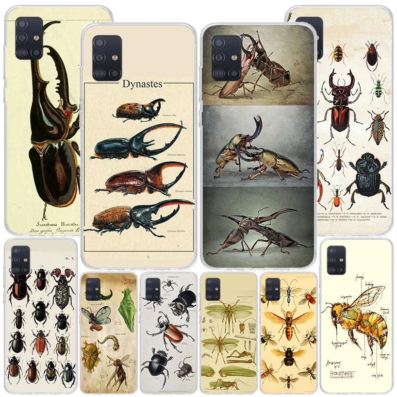 Bugs Bees Scientific Decomposition Phone Case For Samsung Galaxy A51 A41 A31 A21S A11 A71 A50 A70 A40 A30 A20S A10E A10S A6 A7 A