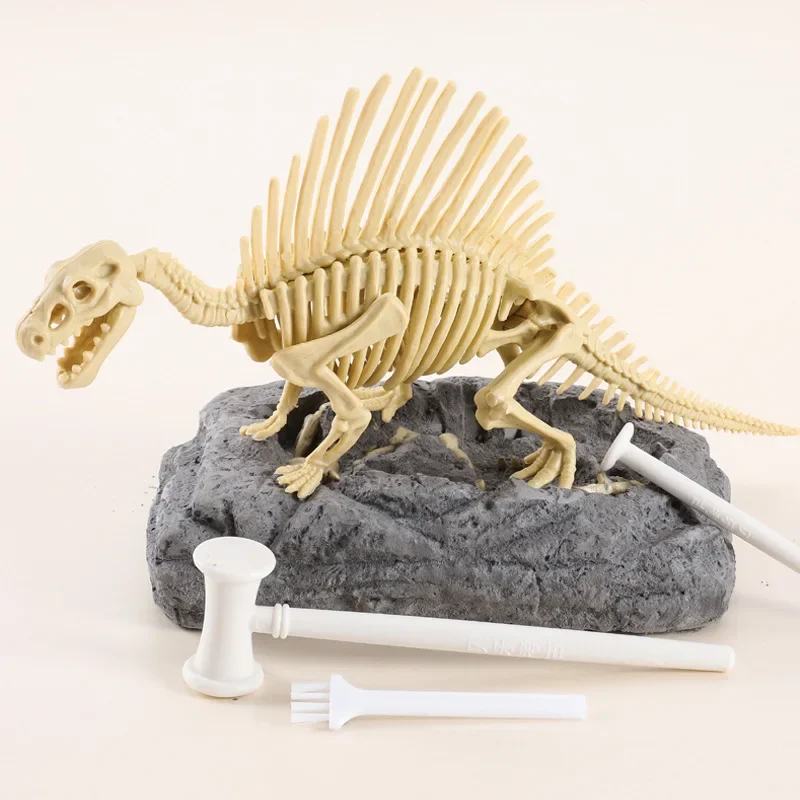 Dinosaur fossil excavation toys, children, exercise, learning, education, enlightenment, hand-done model ornaments, gifts