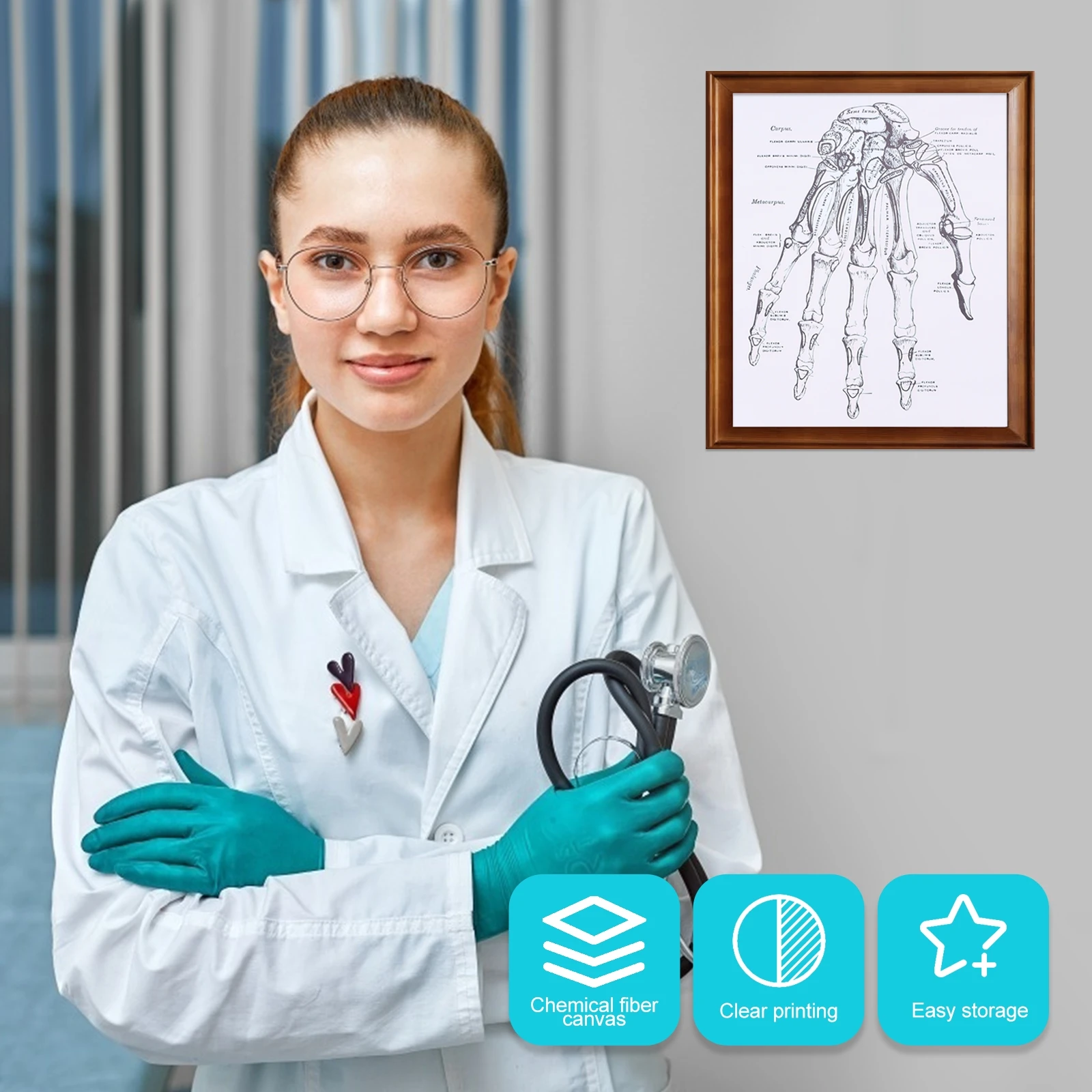 

1Pcs Human Hand Anatomy Wall Poster High-Quality Teaching Chart for Classroom Laboratory Study Clear Font Anatomy Dissection