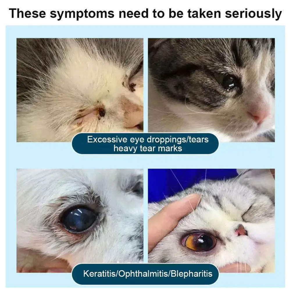 مرهم العين لالتهاب القرنية للحيوانات الأليفة