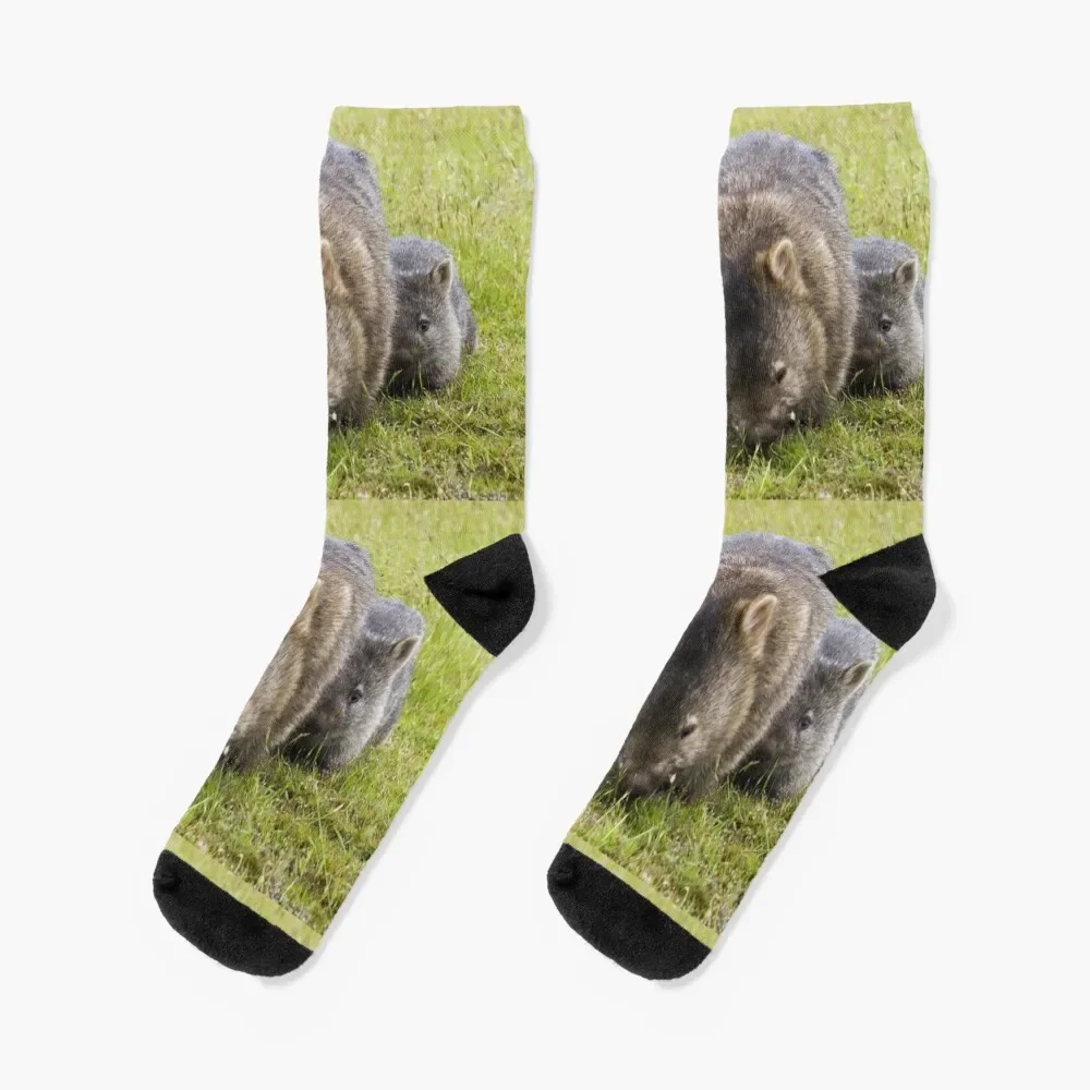 wombats Socks compression colored funny gift hiphop Male Socks Women's