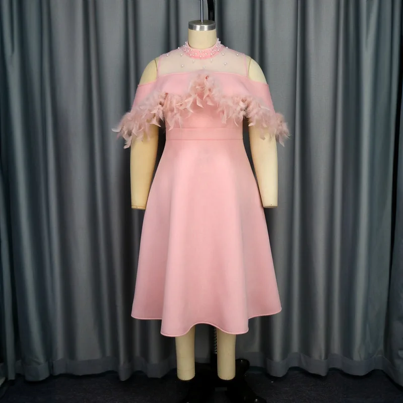 

Women's Banquet Evening Dress Sexy Perspective Collar Pink A-line Round Neck Party Dress High Waist Off Shoulder Feather Dress