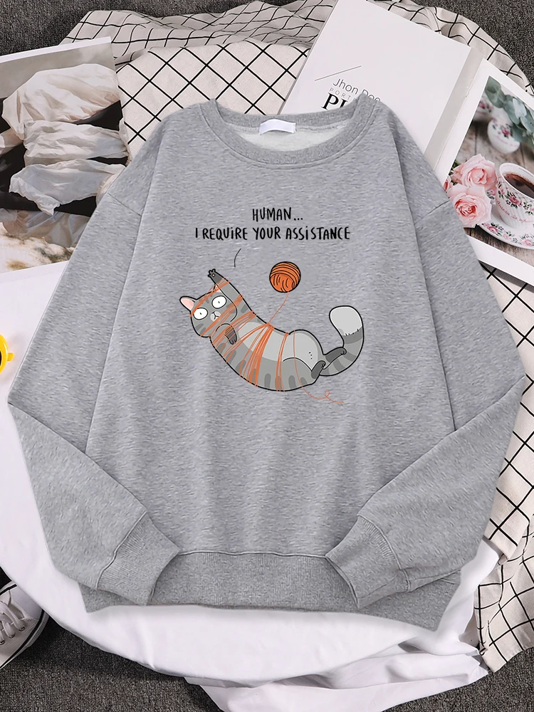 

Huwomen I Require Your Assistance Women Hoody Hip Hop Shoulder Drop Pullover Autumn Loose Outerwear Fashion Aesthetic Sportswear