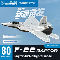 New Products In 2025 Freewing Flying Wing Model 80mm F-22 Raptor \