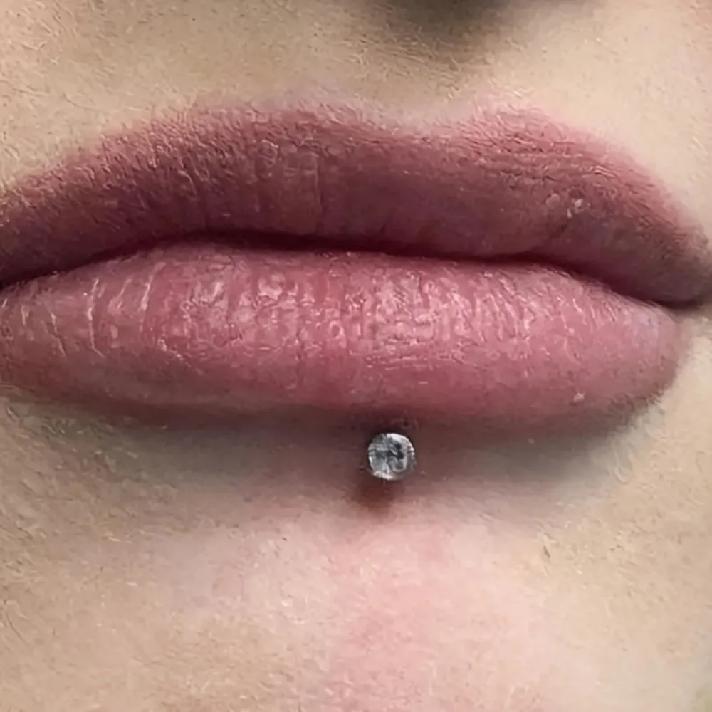 8 قطعة/الحزمة الفولاذ المقاوم للصدأ القلب جولة تشيكوسلوفاكيا الشفاه ترصيع ل الغضروف الزنمة Labret الثقب مجوهرات للجسم لارتداء اليومي #4