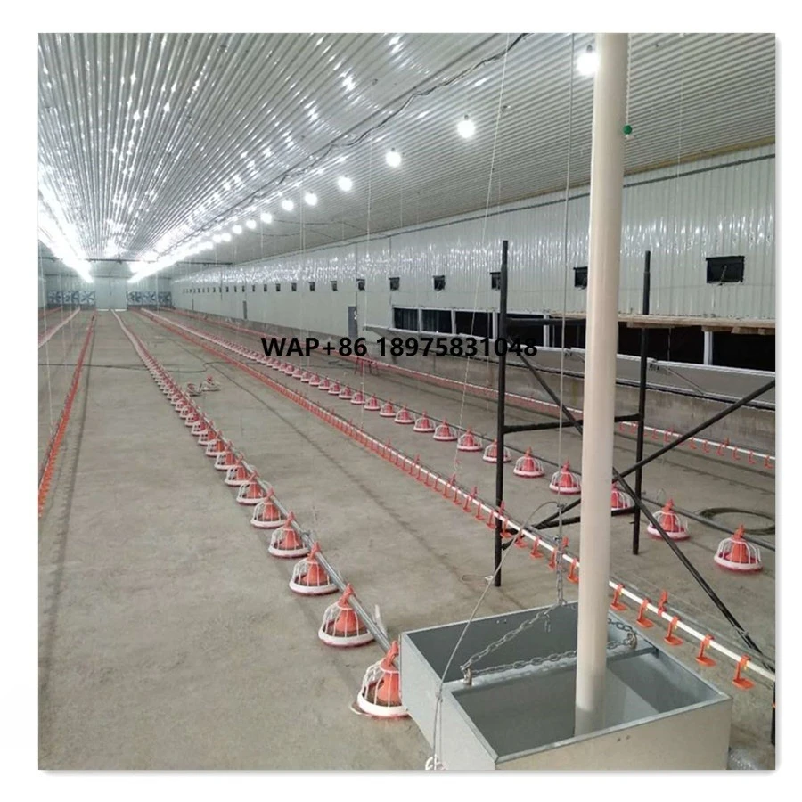Livestock Breeding Equipment for Chicken House Broiler Shed